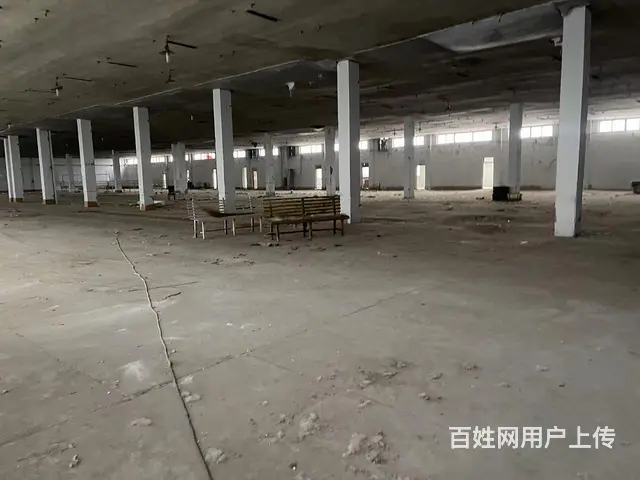 淄川区罗村镇厂房出租 - 图片 7