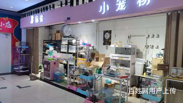 中街地下宠物店转让 - 图片 2
