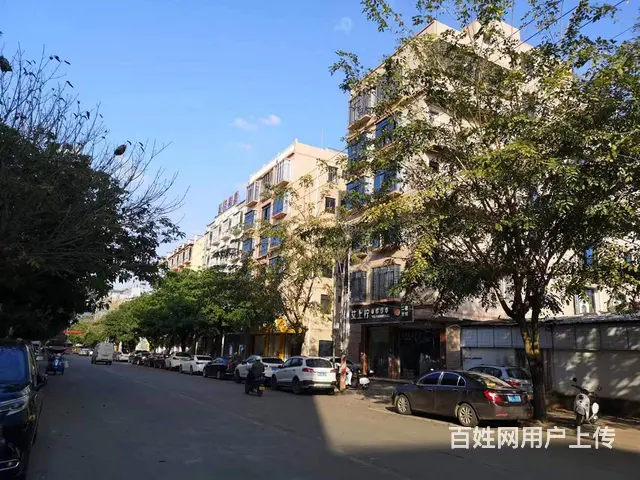 （51旺铺推荐）定安整栋600平铺面急租 - 图片 3