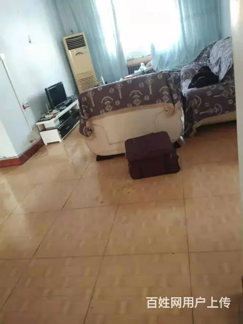 文苑小区三房两厅出租 普通住宅2厅 精装修 - 图片 2