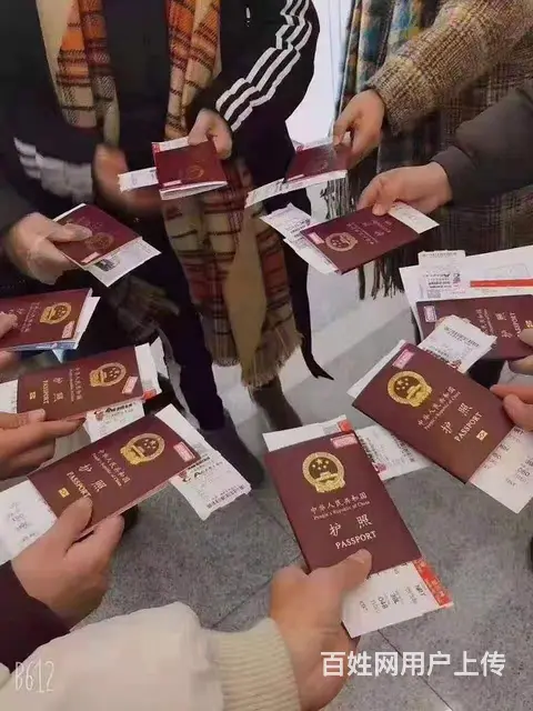 爱尔兰急招架子工水电工出国劳务劳务中介诚招代理 - 图片 4