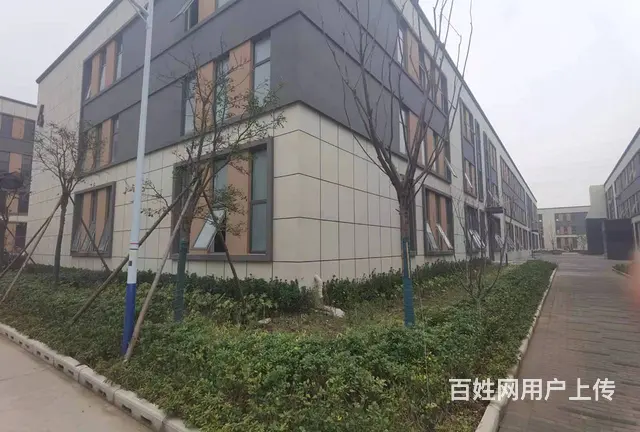 泰州市高港区周边1600平标准框架厂房出租出售 - 图片 6