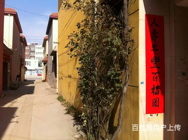精致小院出租 - 图片 2