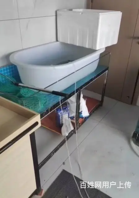 （众铺免费推荐）3398海宁万人社区主路生鲜超市转让 - 图片 2