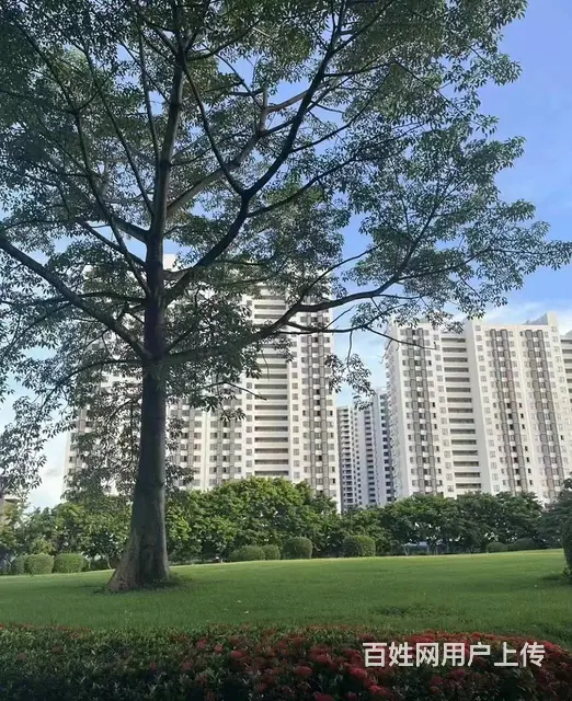 （51旺铺推荐）三亚城市职业学院档口招商 - 图片 9
