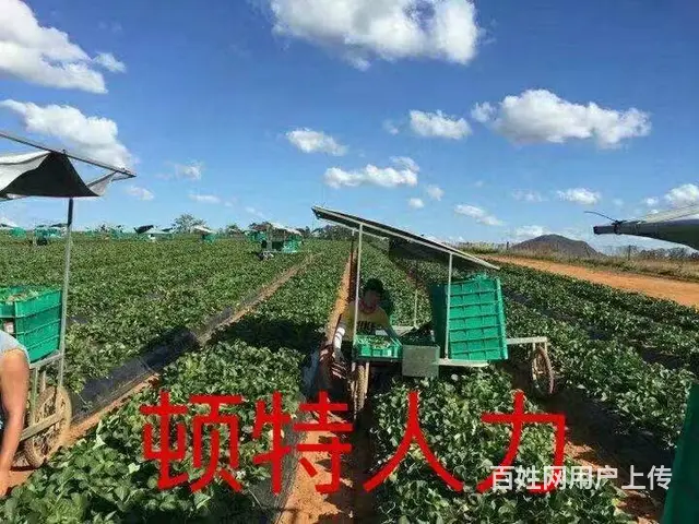 江苏2专业办理出国劳务、新西兰丹麦澳大利亚爱尔兰 - 图片 10