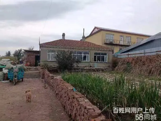 道里机场路二手车市场蒋化屯厂房出售 - 图片 4