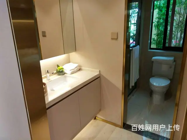高速公园壹号 南谯区区政府旁 双洪泽湖 大学城 - 图片 9