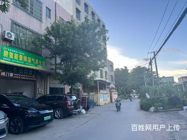 （51旺铺推荐）美兰江东新区东阳幼儿园旁两栋空铺1050平房 - 图片 2