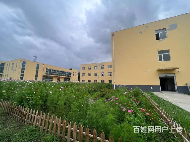 阿城松峰山大街与中直路口厂房出售 - 图片 3