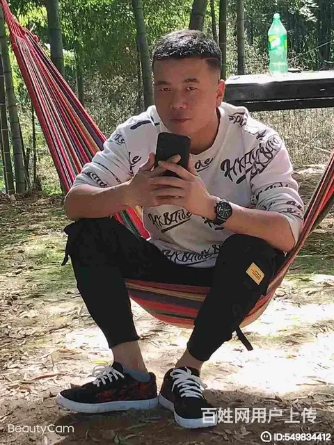 伴侣 - 图片