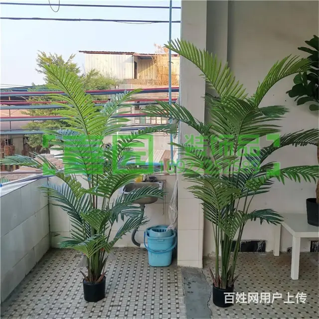 仿真绿植柠檬树盆栽仿真植物服装店绿植橱窗装饰仿生假 - 图片
