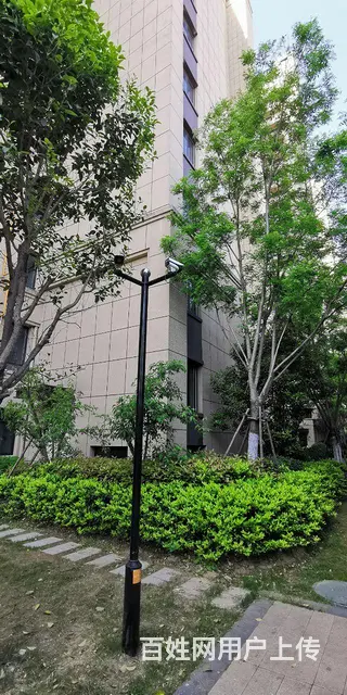 大吴弘阳公园大道 - 图片 6