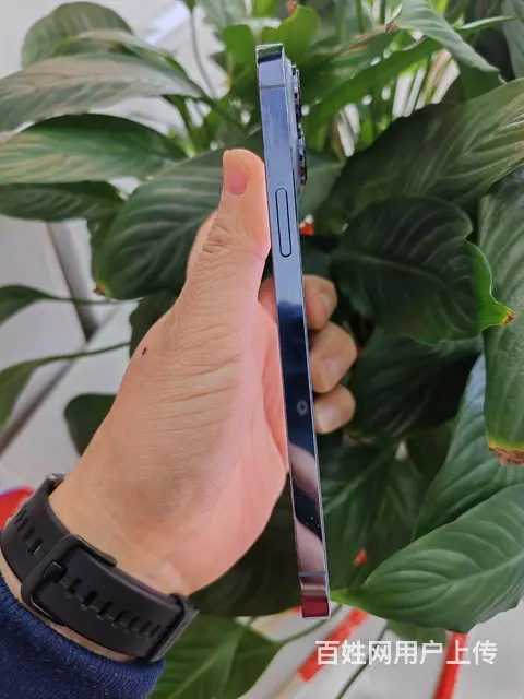 苹果13Promax - 图片 6