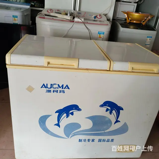 【搞定了！】两个冰柜出售  300元 - 图片 2