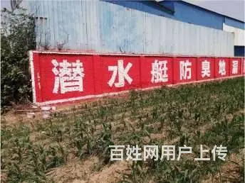 邢台刷墙广告农资墙体工笔画广告 - 图片 2