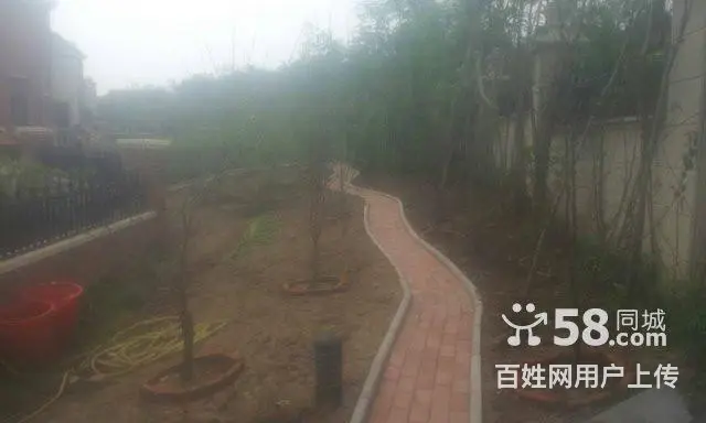 树木卖鹿粪鸡粪 猪粪 黑土 花土 假条茄子秧 - 图片 3