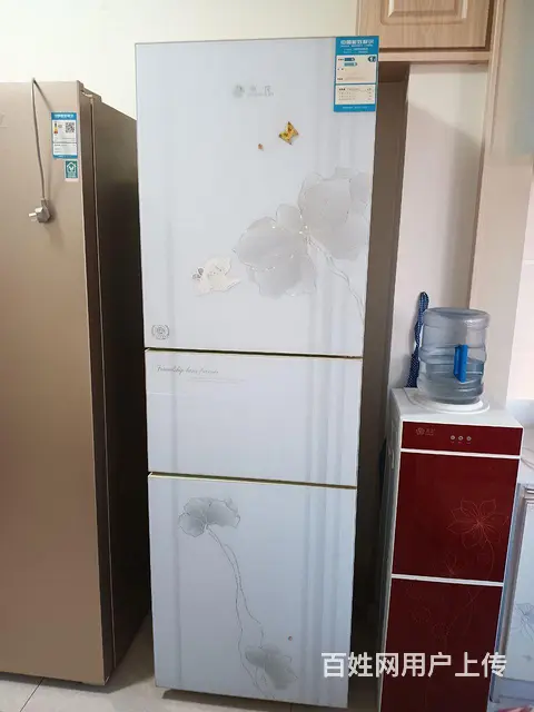 申花三开门冰箱 - 图片