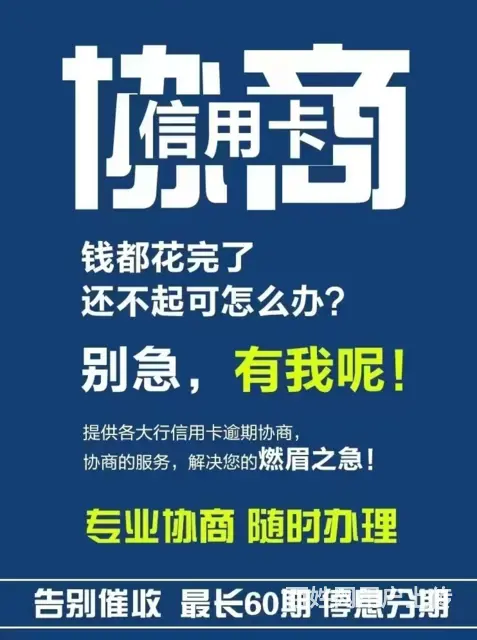 东陵/浑南分期免息* - 图片 1