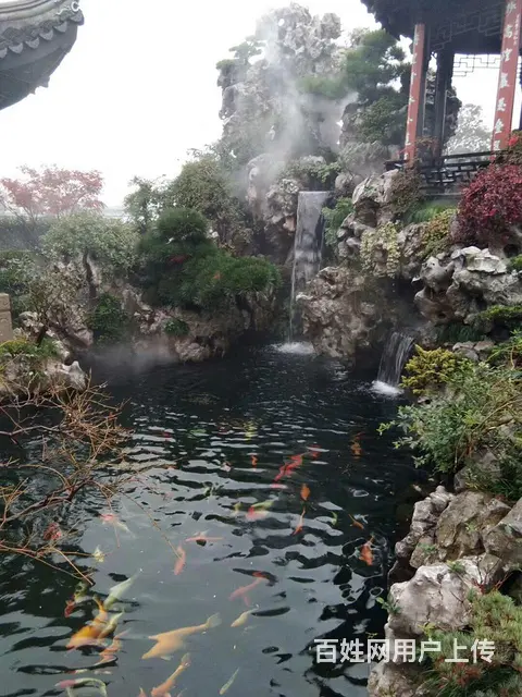 上海锦鲤鱼池净化过滤系统设备安装 - 图片 1