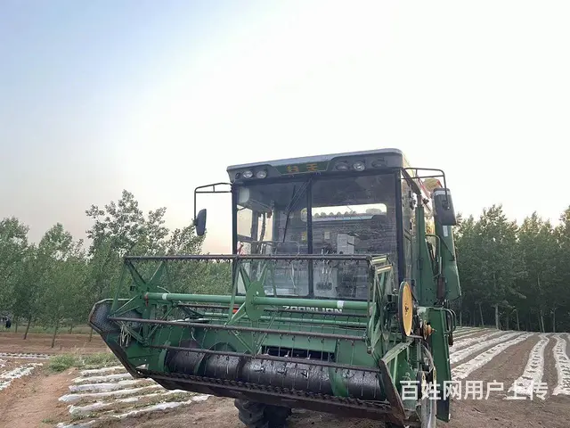 16年谷王70 - 图片 4