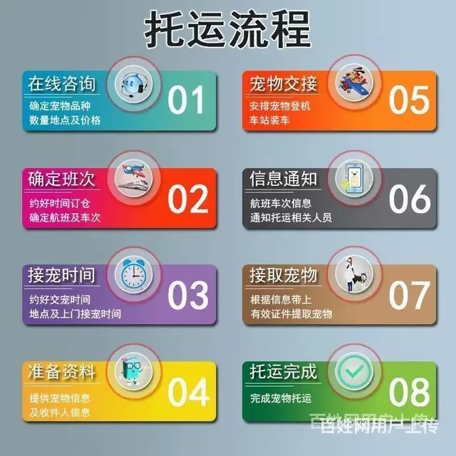 推荐） 阿坝宠物托运到全国）（猫狗）邮寄快递（宠物活体运输） - 图片 3