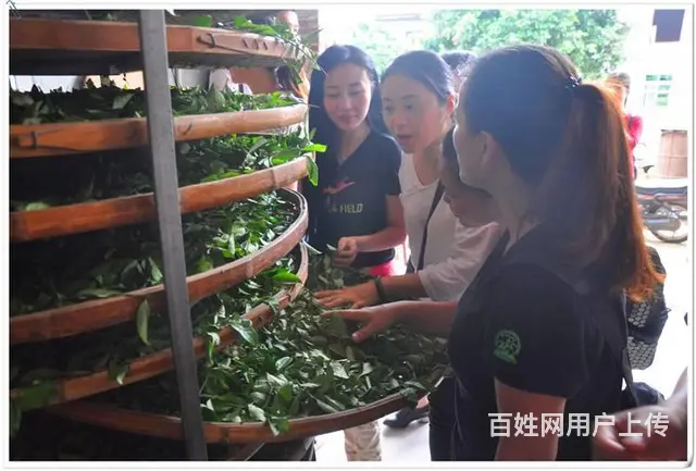 天晟茶艺培训学校11月21日高级茶艺师培训班开课了 - 图片 7