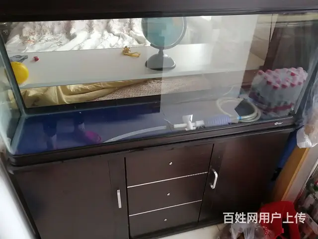 卖二手鱼缸 - 图片 2