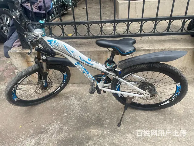 飞鸽自行车 - 图片 1
