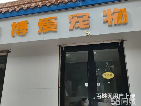 急转！邢台市桥东区南园路80平博爱宠物店 - 图片 1