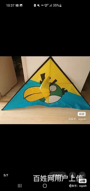 风筝 - 图片 4