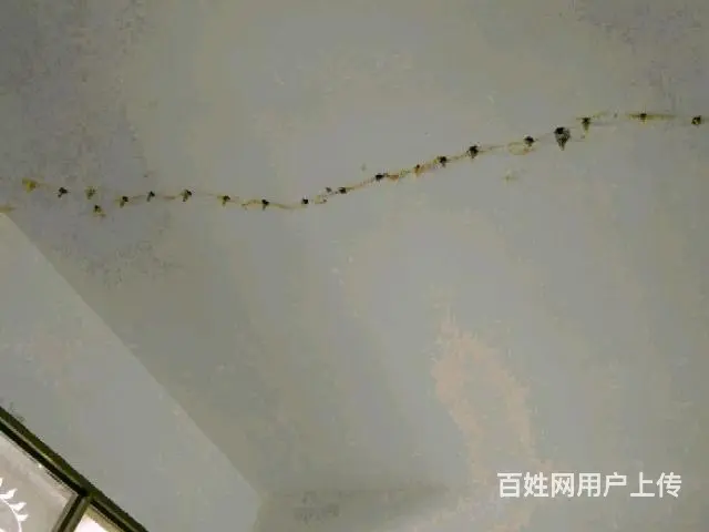 SBS卷材防水，伸缩缝补漏，高压注浆堵漏 - 图片 11