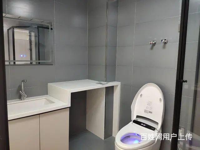 王府花园，电梯5楼，两室通厅，精装未住 - 图片 4