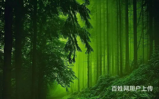 威海工作服衬衣批发加工定做 - 图片