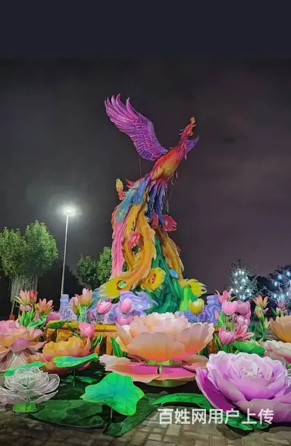 2025花灯灯光秀设备供应 - 图片 2
