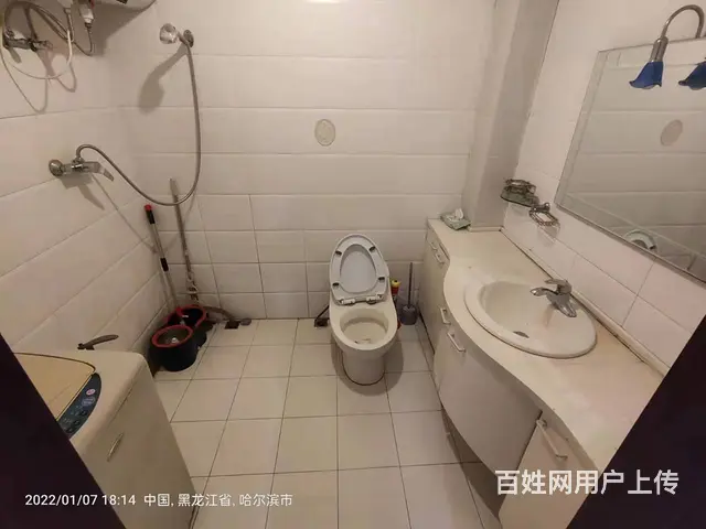 四季芳洲小区-南岗-学府四道街 普通住宅1厅 精装修 - 图片 8