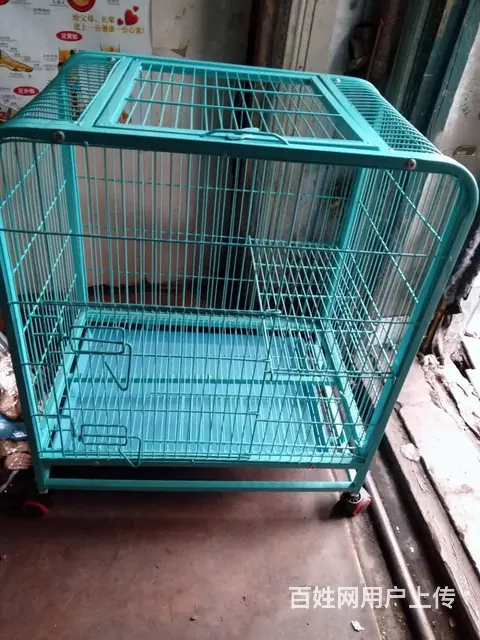猫笼子便宜出售 - 图片
