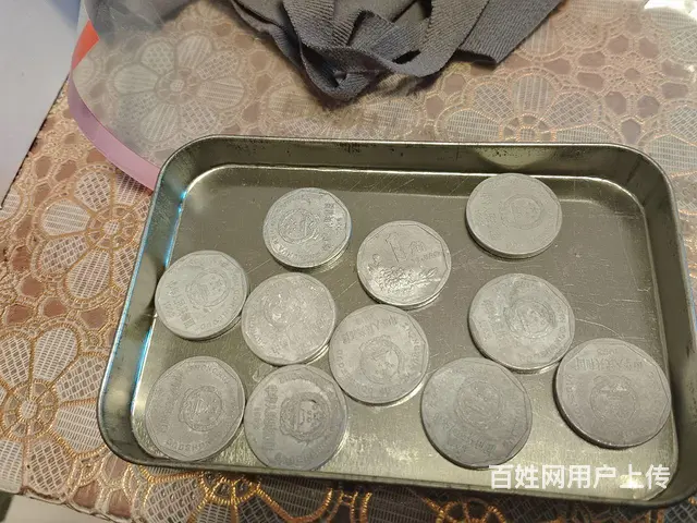 九凌菊花 - 图片 1