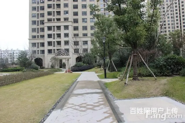 博小+北郊！金新鼎邦3室2厅豪装双卧朝南北通透满5 - 图片 11