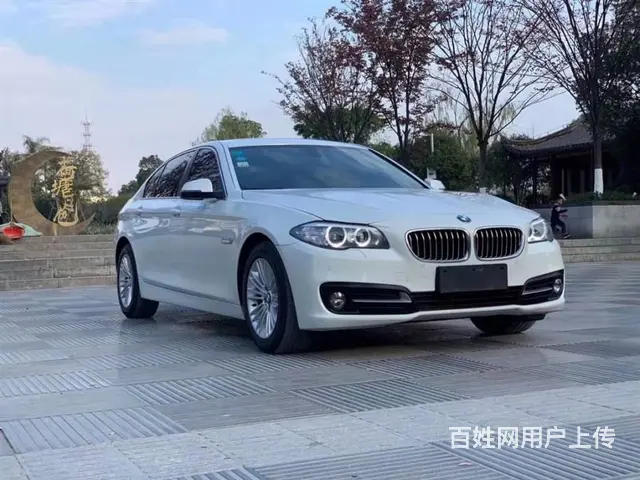 宝马5系 2014款 525Li 2.0T 手自一体 领先型 - 图片 1