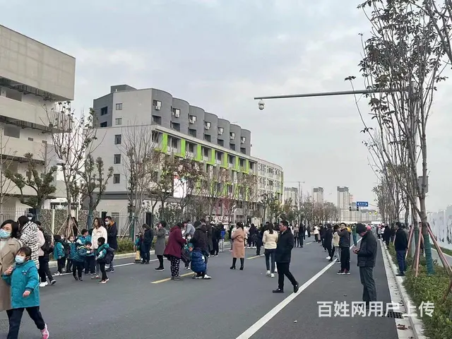 外国语学校对面！觅小旁！金科启宸纯一层带燃气商铺！大开间 - 图片 4