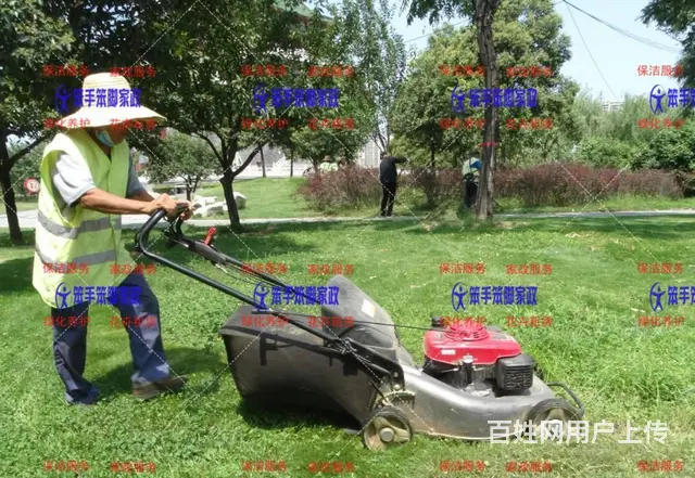 厦门同安绿化草坪修剪 - 图片 2