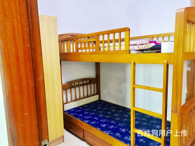 白天鹅花园 朝花园 向重逢中去寻你 一丝丝暖在心底 - 图片 6