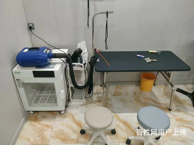 香坊安埠街宠物店 宠物美容店铺转让 - 图片 4