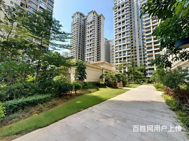 笋盘急售！荔枝湾两房（全新未住 各付各税）价格可谈 - 图片 9
