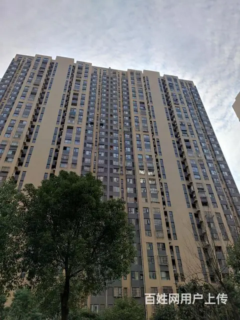 业主自住才搬 近东湖 欢乐谷 直达岳家嘴 楚河汉街 - 图片 12