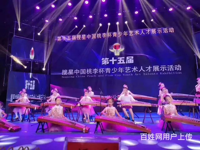 沈阳学古筝哪里好 - 图片 5