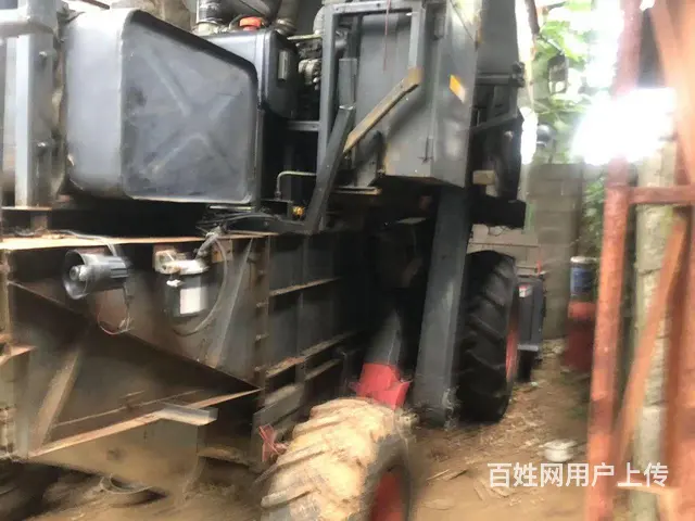 卸磨杀驴 - 图片 4