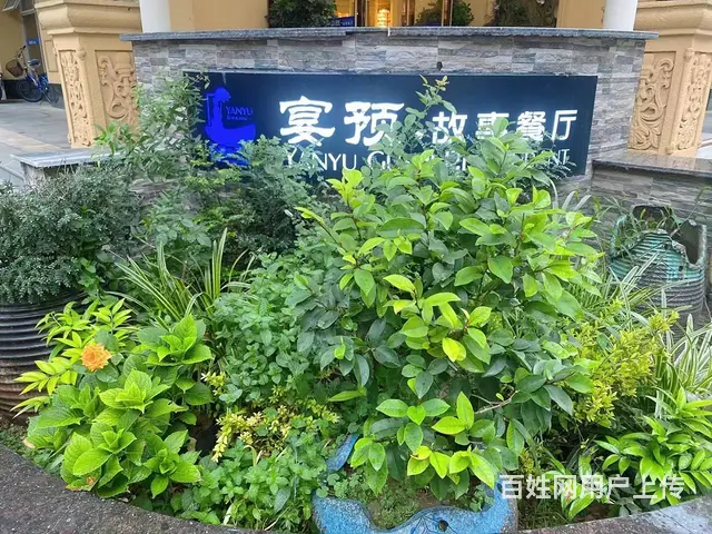 （优转网）滨湖朱雀街1300平精装餐饮店转让 - 图片 4