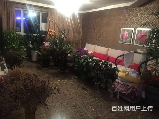 日租短租房 - 图片 3